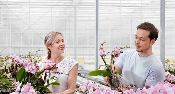 'Toets vooraf zelf de arbeidsovereenkomst' 'Toets vooraf zelf de arbeidsovereenkomst'