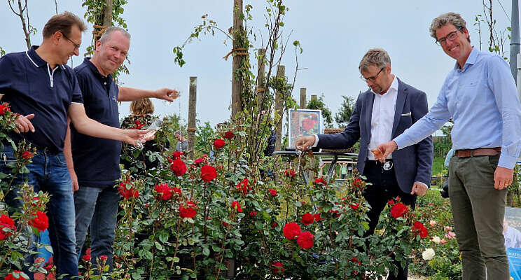 'Rosa Matchis' onthuld 'Rosa Matchis' onthuld