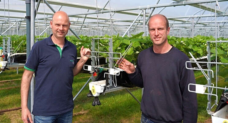 'Verantwoord naar groener schema'