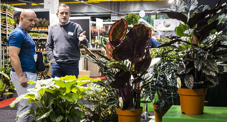 Aanmelden voor Trade Fair Aalsmeer kan nog Aanmelden voor Trade Fair Aalsmeer kan nog