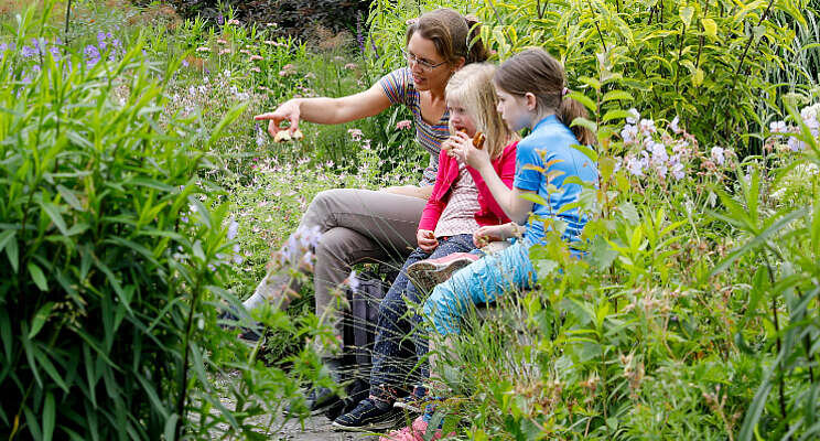 Tips stads- en balkontuin Tips stads- en balkontuin