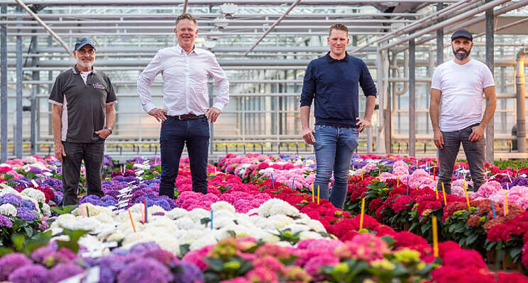 HiBreeding nieuwe deelnemer FlowerTrials HiBreeding nieuwe deelnemer FlowerTrials