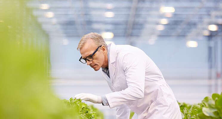 Groen licht voor plantgezondheidsprojecten Groen licht voor plantgezondheidsprojecten