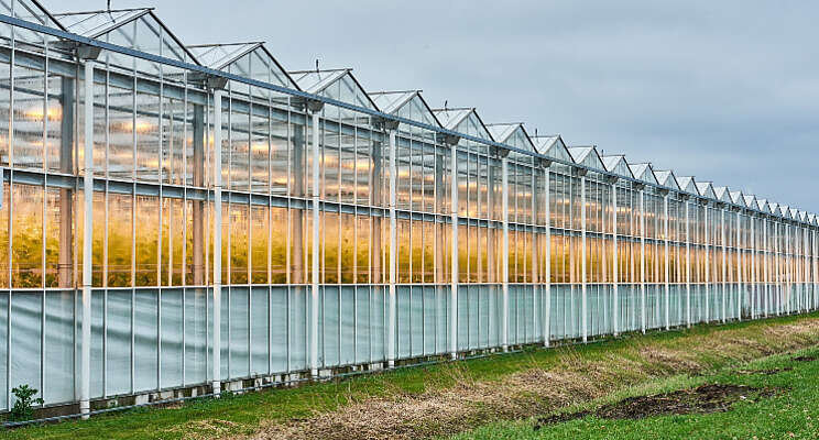 Eigen Greenport noordelijke tuinbouw Eigen Greenport noordelijke tuinbouw