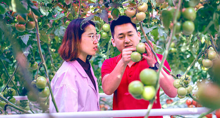 Groeiende aandacht voor kassen in China Groeiende aandacht voor kassen in China