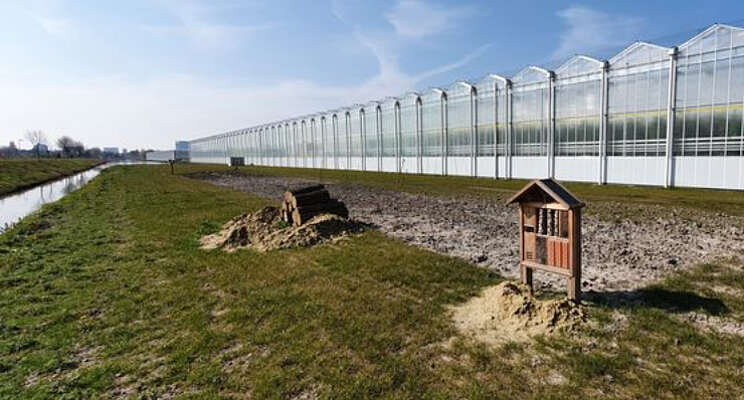 Biodiversiteit in het Oostland Biodiversiteit in het Oostland