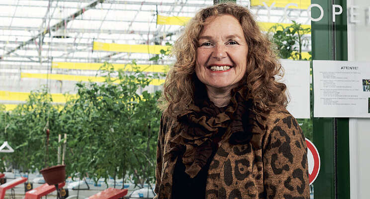 Tomatoworld zoekt afnemer met een gouden hart