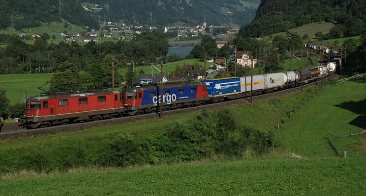 Kansen voor vervoer sierteelt per spoor Kansen voor vervoer sierteelt per spoor