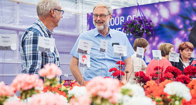 FlowerTrials keren terug FlowerTrials keren terug