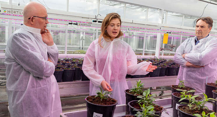 Minister Staghouwer maakt tuinbouwtour