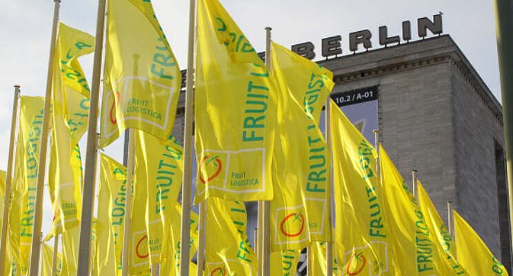3 Nederlandse nominaties voor Fruit Logistica Award 3 Nederlandse nominaties voor Fruit Logistica Award