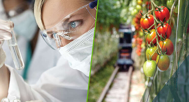In 2021 11,1% meer omzet voor Bayer Crop Science In 2021 11,1% meer omzet voor Bayer Crop Science