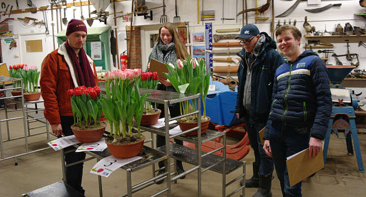 Wie worden in 2022 de Tulpenkeurwinnaars? Wie worden in 2022 de Tulpenkeurwinnaars?