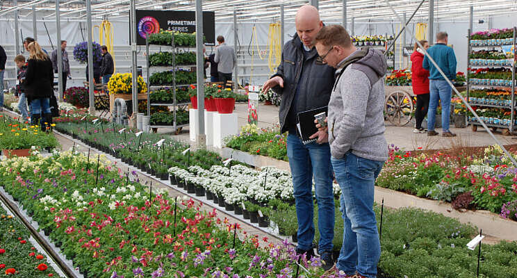 Voorjaarsbloeiers op 'Spring Show' Florensis Voorjaarsbloeiers op 'Spring Show' Florensis