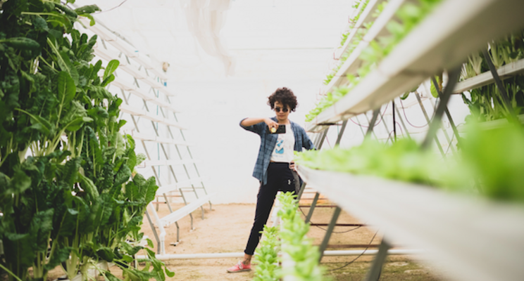 Vertical Farming Wednesday... refurbished containers Vertical Farming Wednesday... refurbished containers