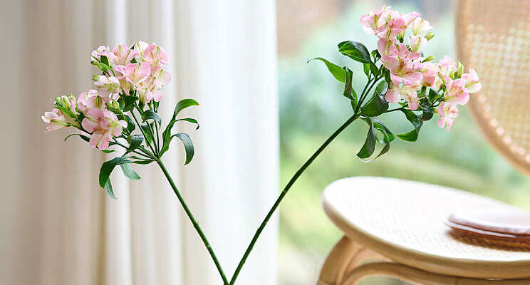 Frisse start met Charmelia Pink Frisse start met Charmelia Pink