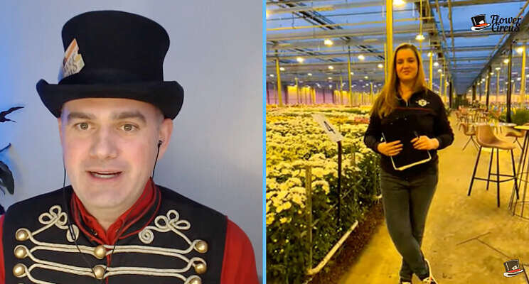 Video: Flower Circus Walks bij Deliflor Chrysanten Video: Flower Circus Walks bij Deliflor Chrysanten