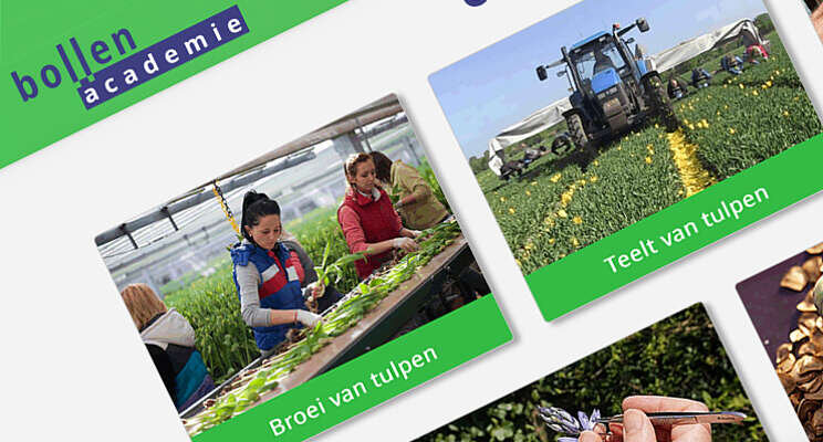 Nieuwe website Bollenacademie Nieuwe website Bollenacademie