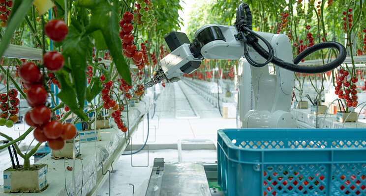 Opmars robotisering in Nederland stokt Opmars robotisering in Nederland stokt