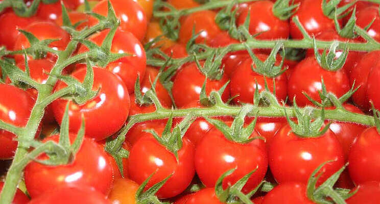 Meer tomaten, minder paprika's naar VK Meer tomaten, minder paprika's naar VK