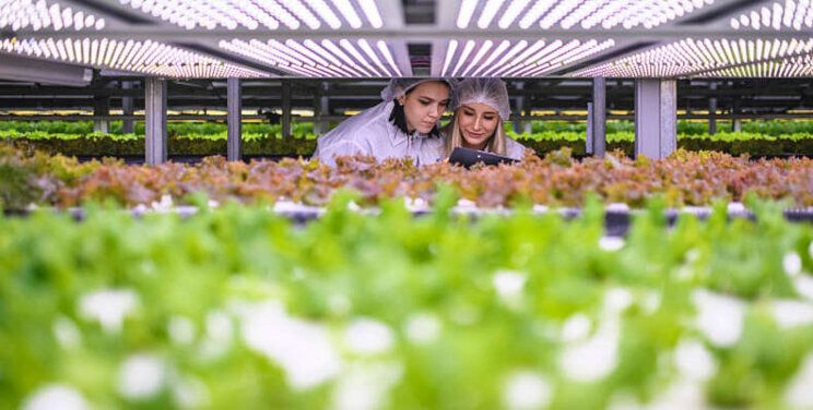 'Vertical Farming wordt volwassen teeltwijze' 'Vertical Farming wordt volwassen teeltwijze'