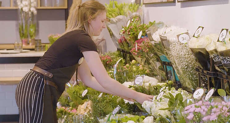 Video: Nieuw bloemen- en plantenconcept Video: Nieuw bloemen- en plantenconcept