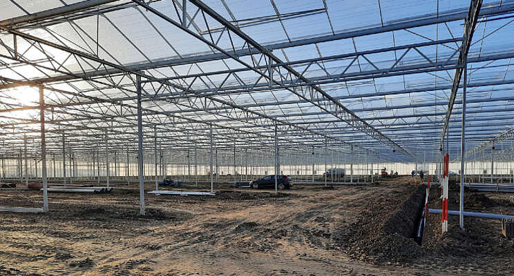 Hoogeveen Plants bouwt tweede kwekerij Hoogeveen Plants bouwt tweede kwekerij
