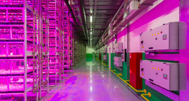 Vertical Farming Wednesday... GoodLeaf bouwt in Calgary Vertical Farming Wednesday... GoodLeaf bouwt in Calgary