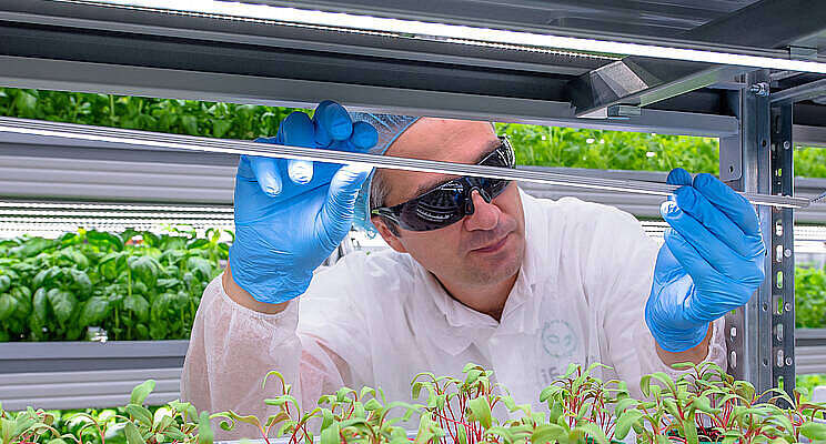 Vertical Farming Wednesday... Aardbeien in Quebec Vertical Farming Wednesday... Aardbeien in Quebec