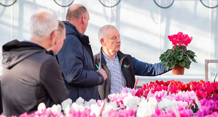 Video: Terugblik Cyclamen Dagen Video: Terugblik Cyclamen Dagen