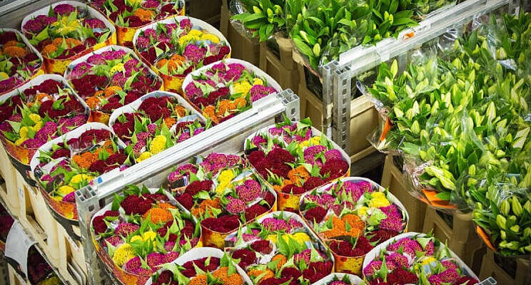 'Markt bepaalt het succes van de Lokale Veiling' 'Markt bepaalt het succes van de Lokale Veiling'