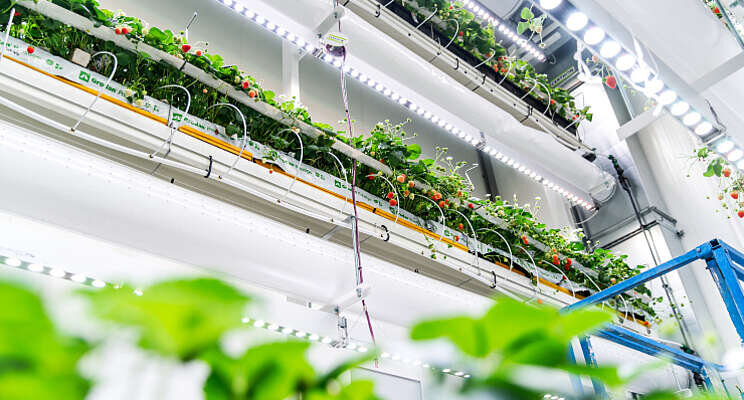 Geschil Certhon en PlantLab beslecht Geschil Certhon en PlantLab beslecht