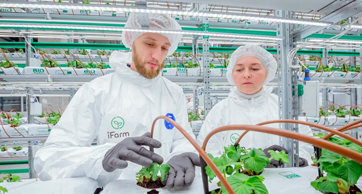 Vertical Farming Wednesday... Technologie van iFarm Berry Vertical Farming Wednesday... Technologie van iFarm Berry