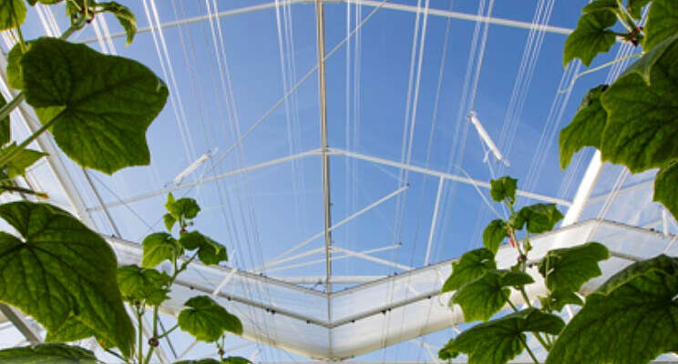 Project Smart Materials: 'Alles kan nog beter' Project Smart Materials: 'Alles kan nog beter'