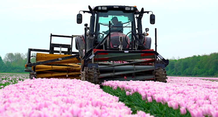 Opmaat voor verdere samenwerking PrimA4a Opmaat voor verdere samenwerking PrimA4a