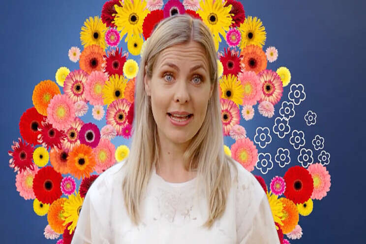 Video: Hoera, weer een gerbera! Video: Hoera, weer een gerbera!