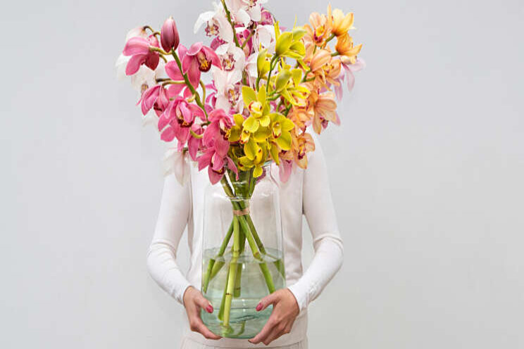 Promotieactiviteiten Cymbidium van start Promotieactiviteiten Cymbidium van start