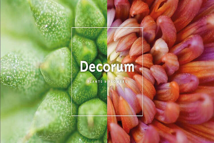 Decorum lanceert nieuwe huisstijl en pay-off Decorum lanceert nieuwe huisstijl en pay-off