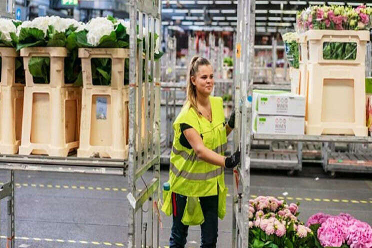 Maatregelen vanwege personeelstekort Maatregelen vanwege personeelstekort