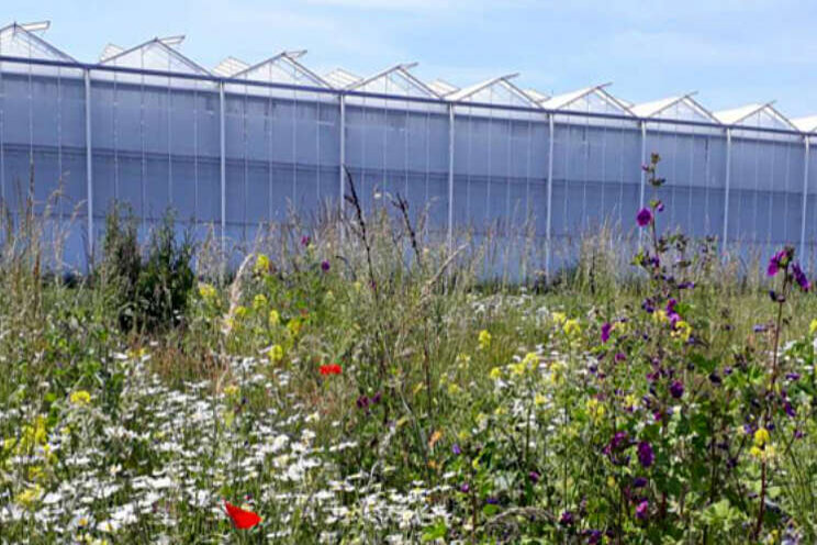 Telersbijeenkomst biodiversiteit Telersbijeenkomst biodiversiteit