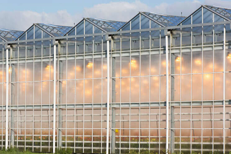 Toekomstplan voorziening gietwater Westland Toekomstplan voorziening gietwater Westland