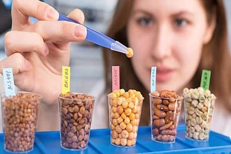 Inspiratie event Life Sciences, Health & Food Inspiratie event Life Sciences, Health & Food