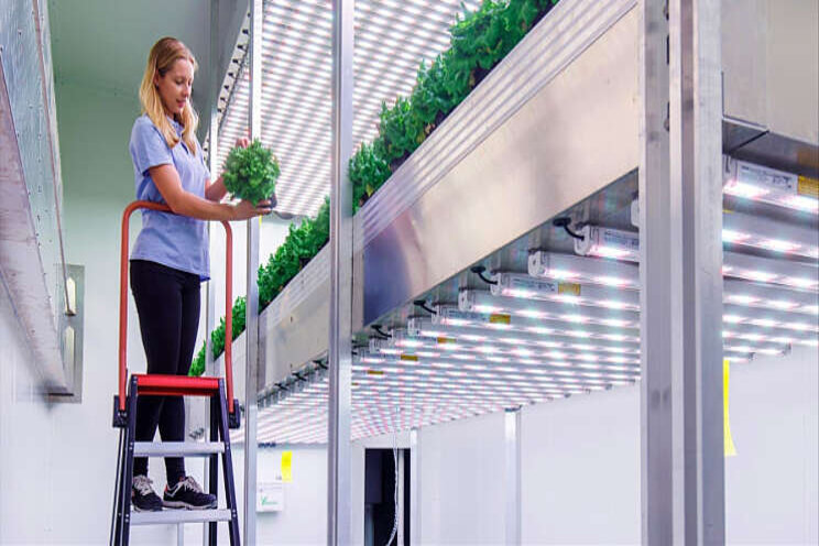 15 jaar ontwikkeling op Horti Science Park 15 jaar ontwikkeling op Horti Science Park