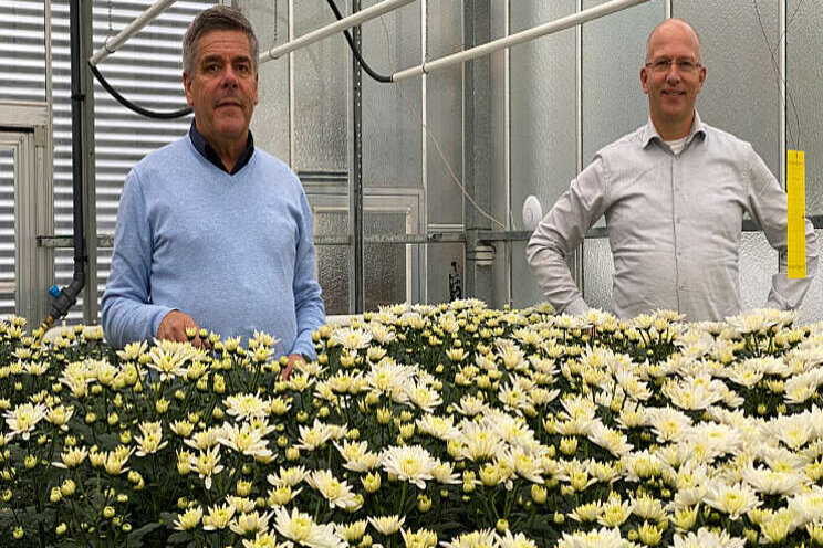 ErfGoedVloer basis voor grondgebonden bloemen ErfGoedVloer basis voor grondgebonden bloemen