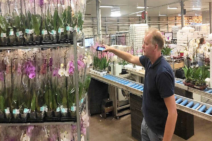 Orders inpakken is feestje bij Wooning Orchids Orders inpakken is feestje bij Wooning Orchids