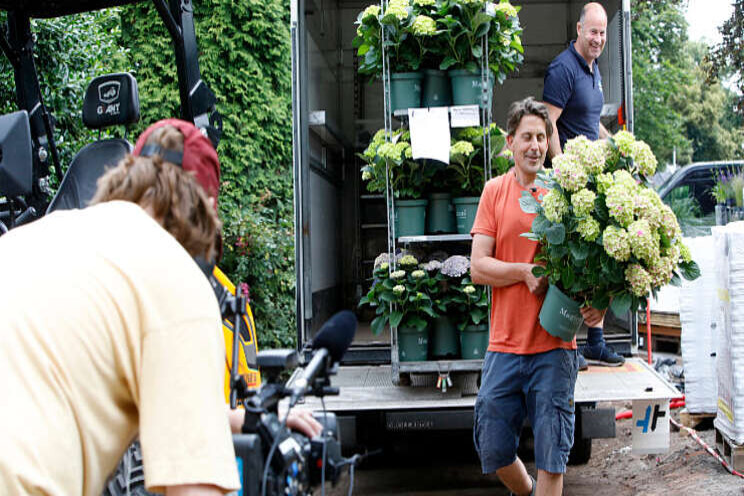 Magical hortensia's kleuren Lodewijks Droomtuinen Magical hortensia's kleuren Lodewijks Droomtuinen