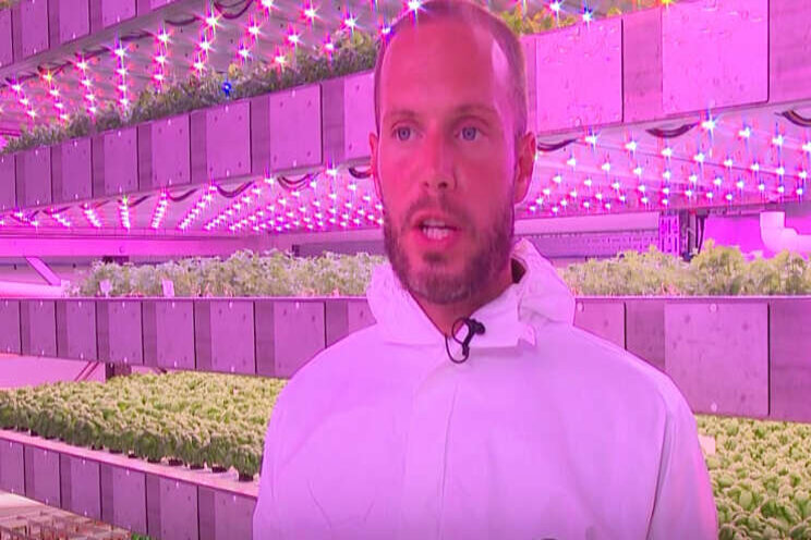 Vertical Farming Wednesday... Indoor telen in Frankrijk Vertical Farming Wednesday... Indoor telen in Frankrijk