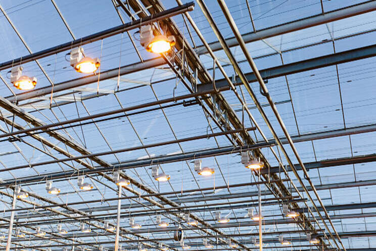 Besparen door onderhoud HPS-groeilichtinstallatie Besparen door onderhoud HPS-groeilichtinstallatie