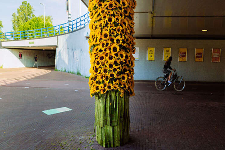 Video: Zonnebloem inspireert Video: Zonnebloem inspireert