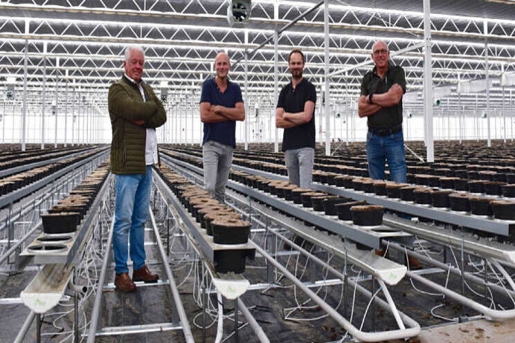 Schouten Opti-Fleurs gaat van start in nieuwe kas Schouten Opti-Fleurs gaat van start in nieuwe kas